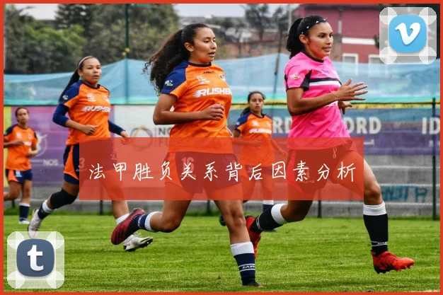 法甲胜负关系背后因素分析