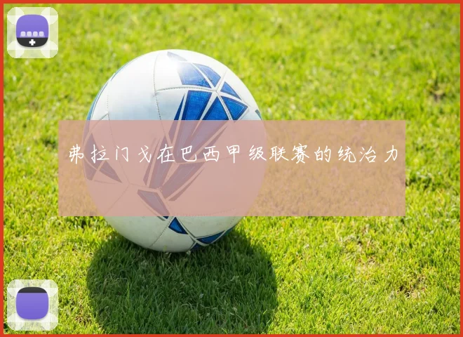 弗拉门戈在巴西甲级联赛的统治力